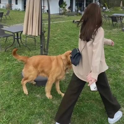 西楚霸王